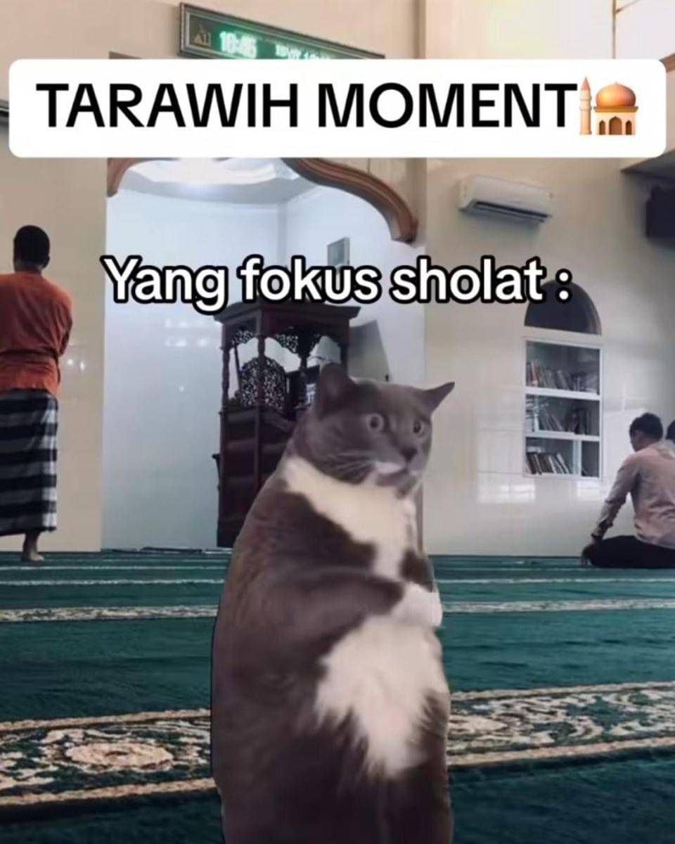 Instagram.com/memekucingofficial